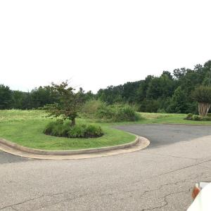 Photo #2 of Buckingham Centre Dr, Dillwyn, VA 3.1 acres