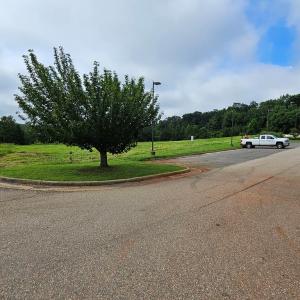 Photo #20 of Buckingham Centre Dr, Dillwyn, VA 3.1 acres