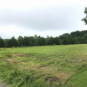 Photo #11 of Buckingham Centre Dr, Dillwyn, VA 3.1 acres