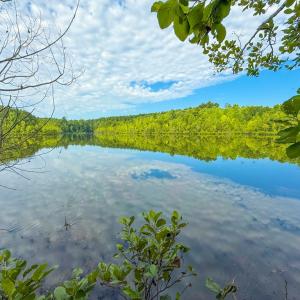 Photo #11 of Mountain Hall Road, Crewe, VA 96.3 acres