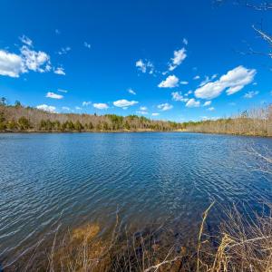 Photo #12 of Mountain Hall Road, Crewe, VA 96.3 acres