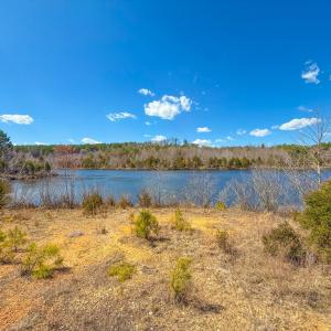 Photo #13 of Mountain Hall Road, Crewe, VA 96.3 acres