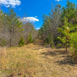 Photo #23 of Mountain Hall Road, Crewe, VA 96.3 acres