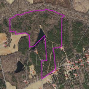 Photo #3 of Mountain Hall Road, Crewe, VA 96.3 acres