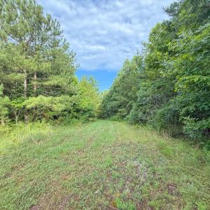 Photo #8 of Mountain Hall Road, Crewe, VA 96.3 acres