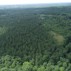 Photo #2 of Genito Parkway, Jetersville, VA 35.8 acres