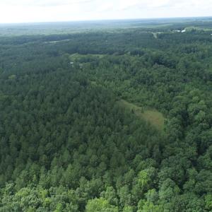 Photo #3 of Genito Parkway, Jetersville, VA 35.8 acres