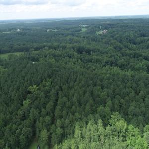 Photo #5 of Genito Parkway, Jetersville, VA 35.8 acres