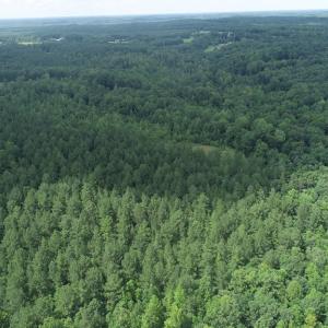 Photo #4 of Genito Parkway, Jetersville, VA 35.8 acres