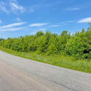 Photo #3 of 5 Wills Road, Blackstone, VA 5.6 acres