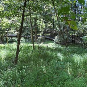Photo #10 of West Entrance Rd, Blackstone, VA 5.6 acres