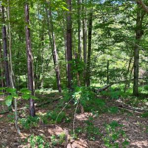 Photo #11 of West Entrance Rd, Blackstone, VA 5.6 acres