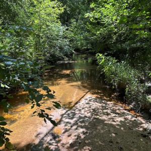 Photo #12 of West Entrance Rd, Blackstone, VA 5.6 acres