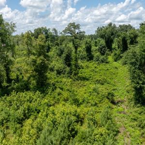 Photo #9 of Nottoway Ave, Blackstone, VA 37.5 acres