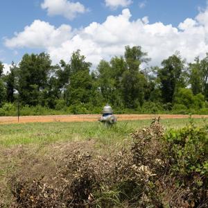 Photo #12 of Nottoway Ave, Blackstone, VA 37.5 acres