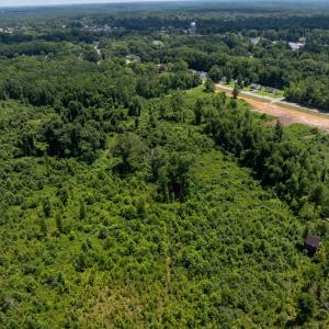 Photo #5 of Nottoway Ave, Blackstone, VA 37.5 acres