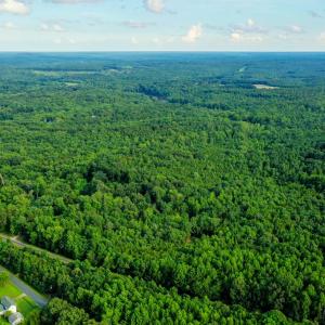 Photo #11 of Farmville Road, Farmville, VA 74.4 acres