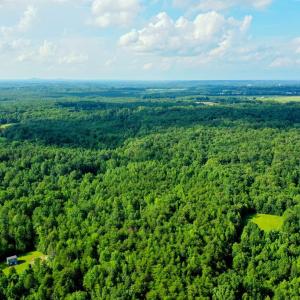 Photo #2 of Farmville Road, Farmville, VA 74.4 acres