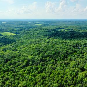 Photo #3 of Farmville Road, Farmville, VA 74.4 acres