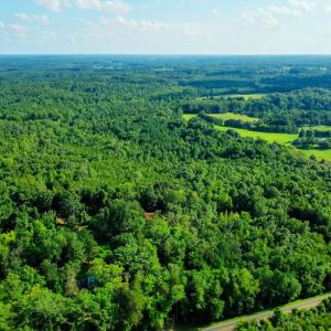 Photo #4 of Farmville Road, Farmville, VA 74.4 acres