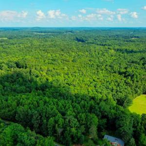 Photo #5 of Farmville Road, Farmville, VA 74.4 acres