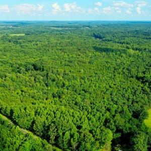 Photo #6 of Farmville Road, Farmville, VA 74.4 acres