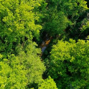 Photo #7 of Farmville Road, Farmville, VA 74.4 acres