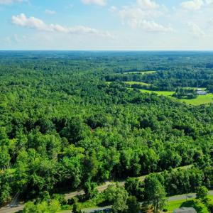 Photo #8 of Farmville Road, Farmville, VA 74.4 acres