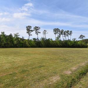 Photo #2 of Lot 1&2 BARN WOODS RD, ONANCOCK, VA 1.8 acres