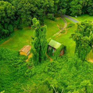 Photo #10 of Fox Hill Road, Rice, VA 21.7 acres