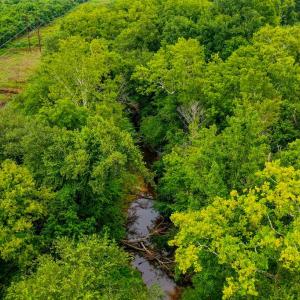 Photo #11 of Fox Hill Road, Rice, VA 21.7 acres