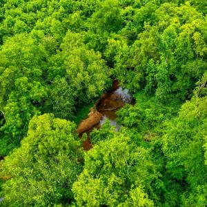 Photo #12 of Fox Hill Road, Rice, VA 21.7 acres
