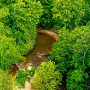 Photo #13 of Fox Hill Road, Rice, VA 21.7 acres