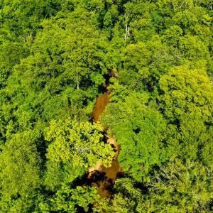 Photo #15 of Fox Hill Road, Rice, VA 21.7 acres