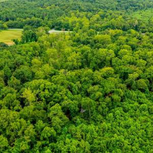 Photo #7 of Fox Hill Road, Rice, VA 21.7 acres