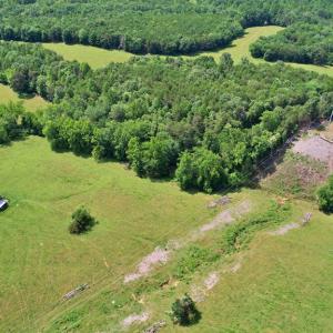 Photo #14 of Story Rd, Concord, VA 80.0 acres