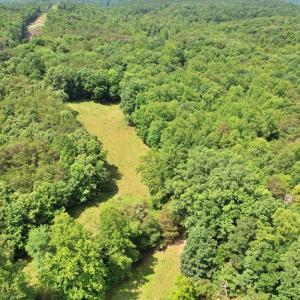 Photo #15 of Story Rd, Concord, VA 80.0 acres