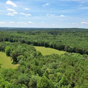Photo #17 of Story Rd, Concord, VA 80.0 acres