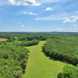 Photo #23 of Story Rd, Concord, VA 80.0 acres