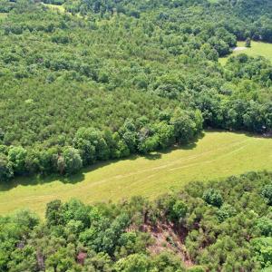 Photo #24 of Story Rd, Concord, VA 80.0 acres
