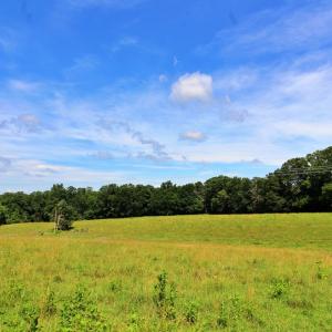 Photo #4 of Story Rd, Concord, VA 80.0 acres