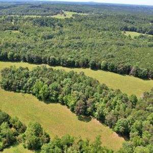 Photo #8 of Story Rd, Concord, VA 80.0 acres