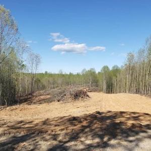 Photo #2 of Mountain Creek Road, Green Bay, VA 21.5 acres