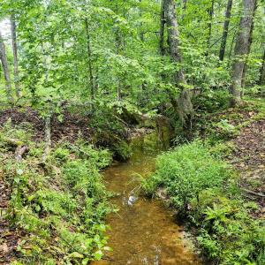 Photo #13 of Banton Shop Road, Dillwyn, VA 42.0 acres