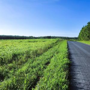 Photo #3 of Banton Shop Road, Dillwyn, VA 42.0 acres