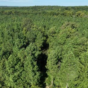 Photo #11 of Highway 58, Baskerville, VA 19.6 acres