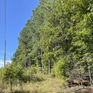 Photo #15 of Highway 58, Baskerville, VA 19.6 acres