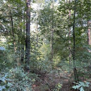 Photo #18 of Highway 58, Baskerville, VA 19.6 acres