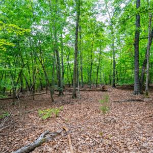 Photo #7 of 0 Atwell Lane, Keysville, VA 39.8 acres