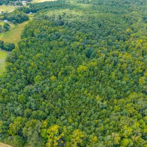 Photo #18 of 0 Atwell Lane, Keysville, VA 39.8 acres